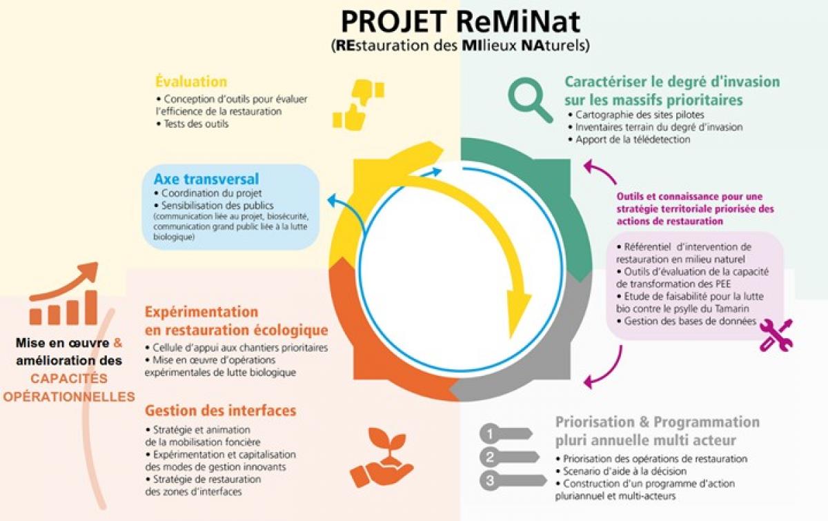 Projet Reminat