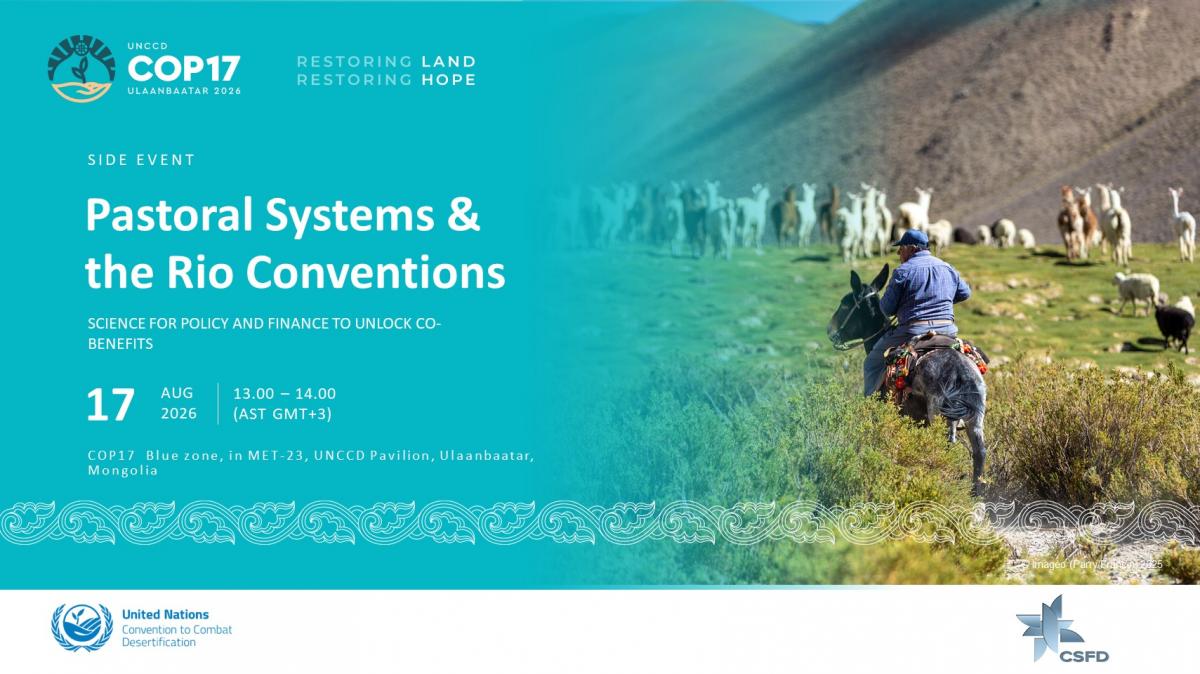 Side Event CSFD
