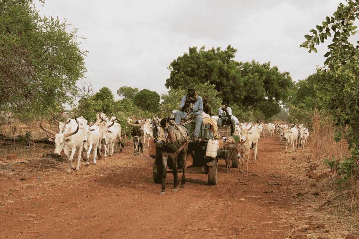 Pastoralists in Senegal