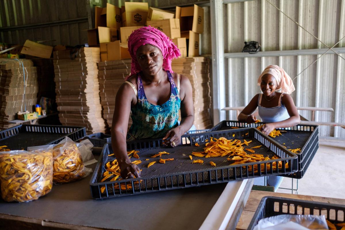 Conditionnement des mangues s&eacute;ch&eacute;es par deux employ&eacute;es d&rsquo;une PME s&eacute;n&eacute;galaise