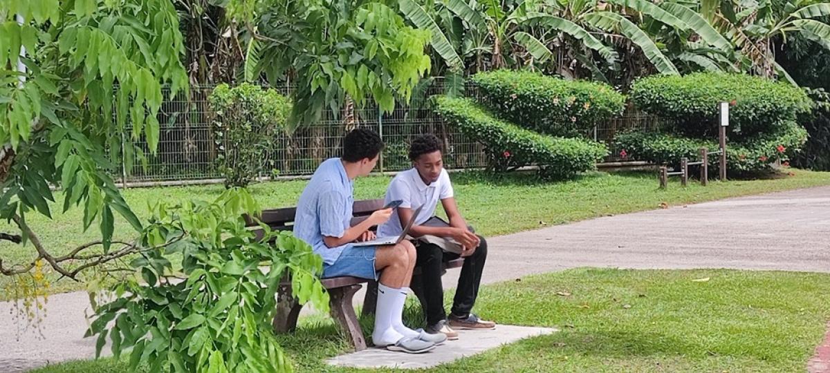 Entretien approfondi aupr&egrave;s d&rsquo;un &eacute;tudiant &agrave; Ducos, Martinique