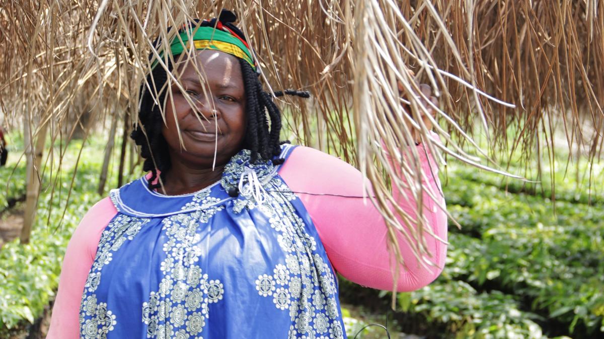 Marie Clarisse Ndengue dans sa p&eacute;pini&egrave;re&nbsp;&copy; S. Koutchou Mbougueng, Cirad