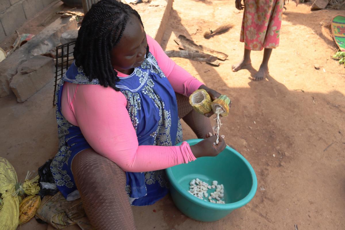 Marie Clarisse Ndengue extrait soigneusement les f&egrave;ves de cacao destin&eacute;es au semis en sachets dans sa p&eacute;pini&egrave;re