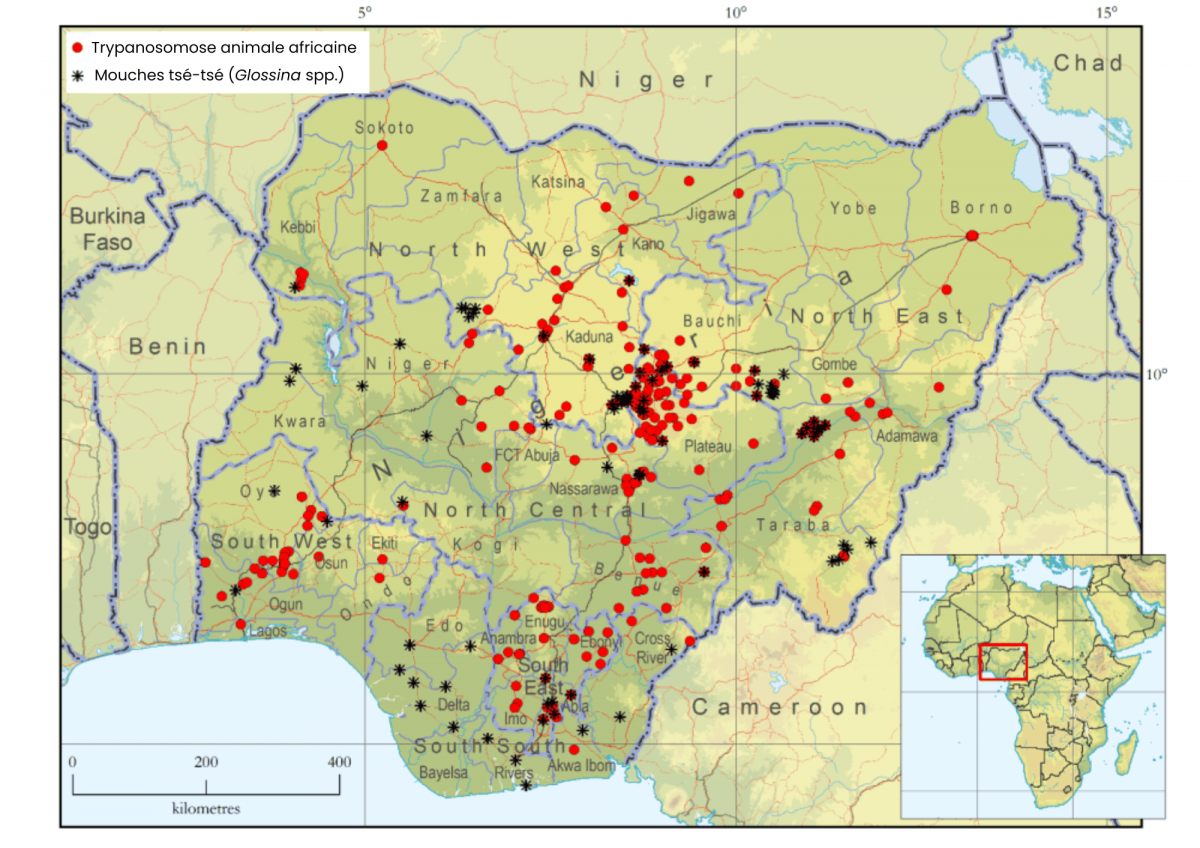 Carte d'occurrence de la trypanosomose animale africaine et des mouches ts&eacute;-ts&eacute;