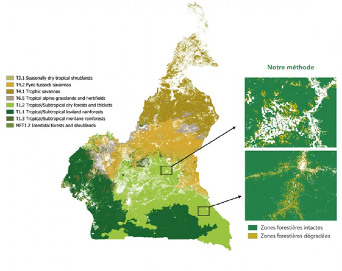 carte Cameroun défo