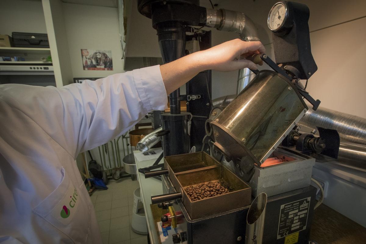 Torréfaction de café © C. Cornu, Cirad
