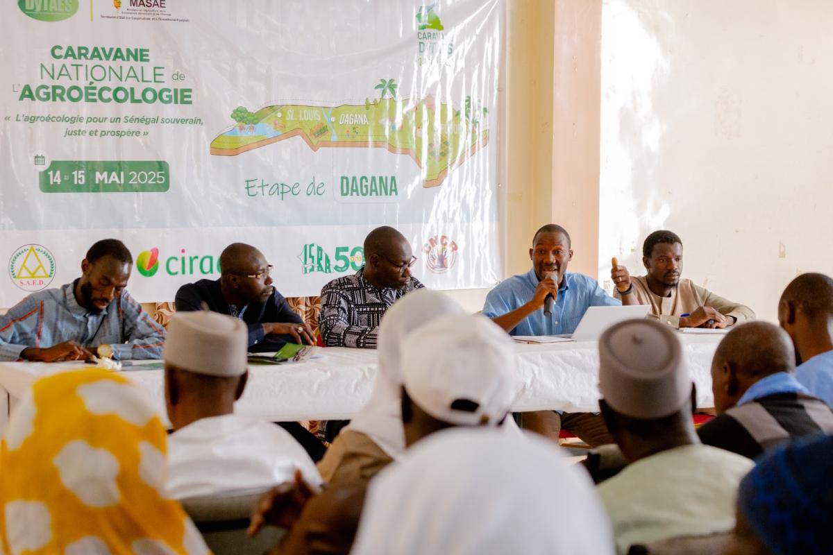 &Eacute;changes lors d&rsquo;une &eacute;tape de la Caravane de l&rsquo;agro&eacute;cologie en 2025, &agrave; Dagana au nord du S&eacute;n&eacute;gal
