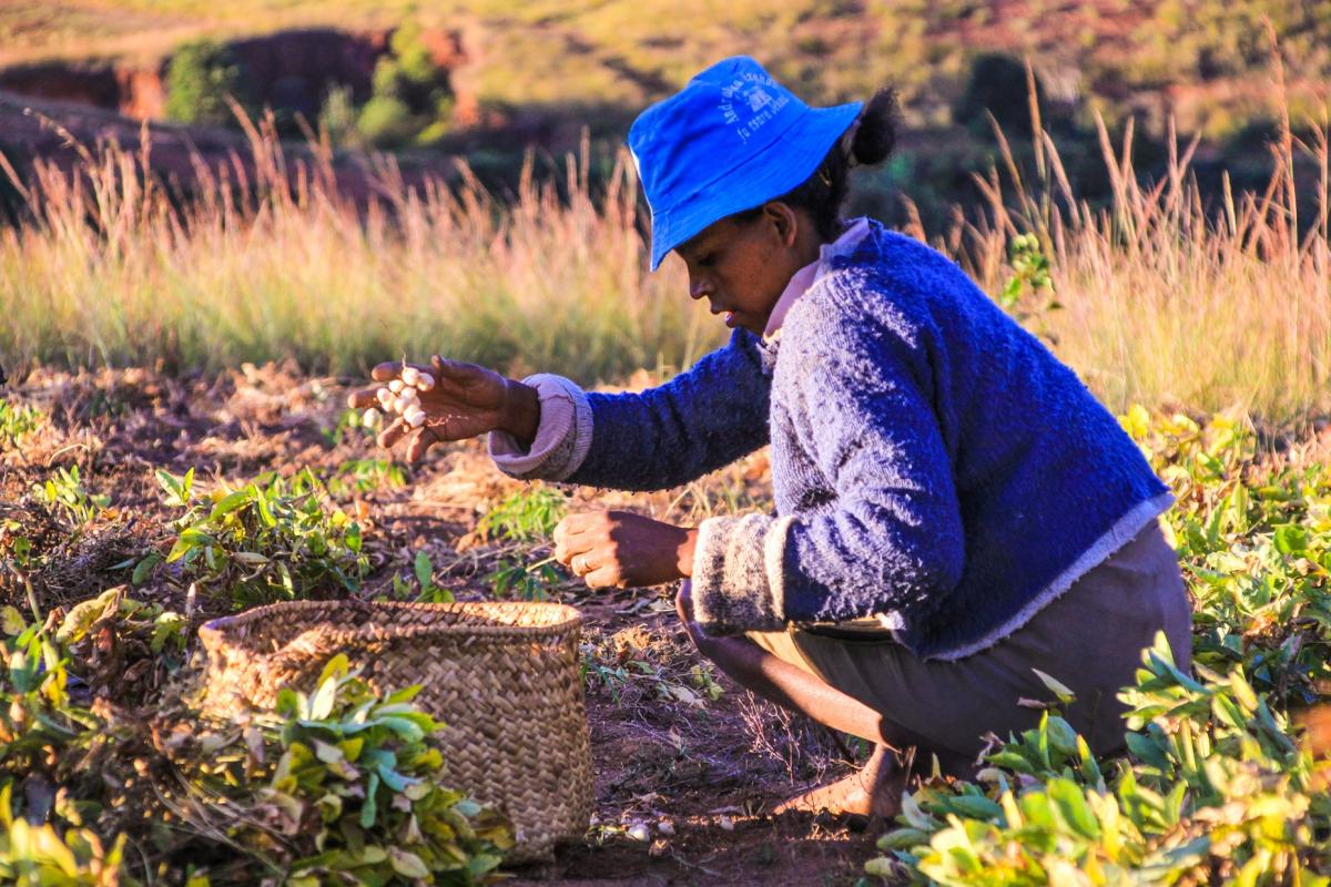 Agricultrice sur les Hautes Terres, Madagascar