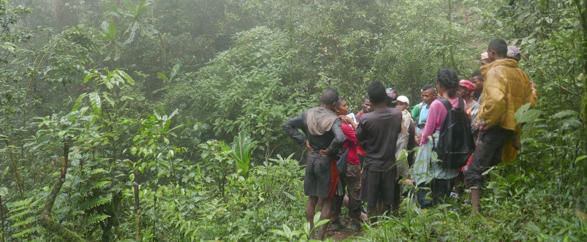 Implication des communautés locales dans la gestion de la forêt © J. Queste, Cirad