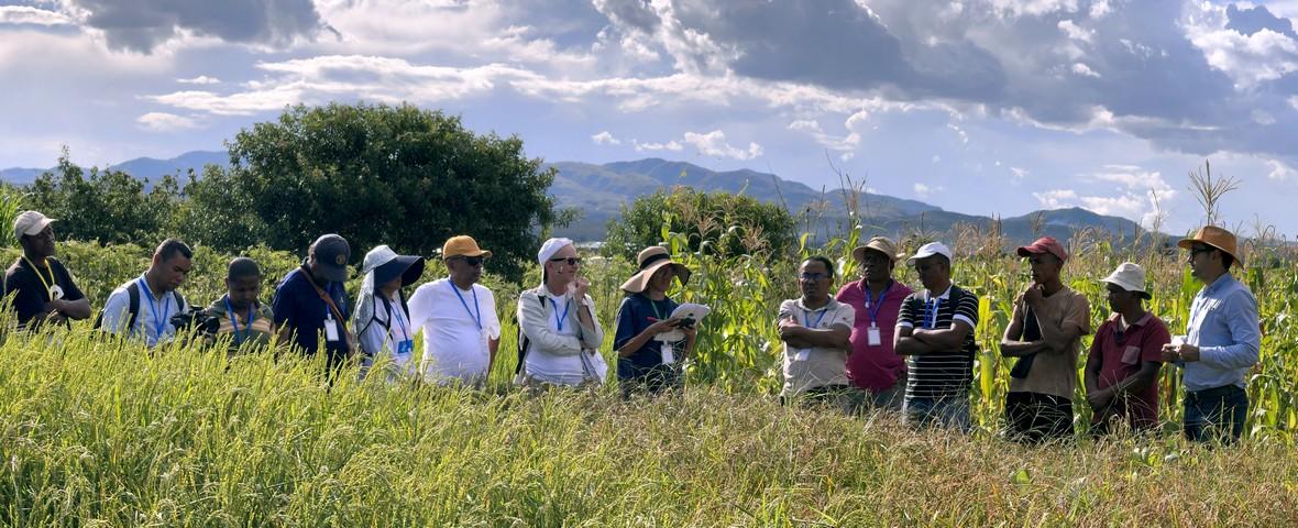 Échanges entre partenaires dans le cadre du projet européen Dinamicc à Madagascar © CIRAD, L. Fertin