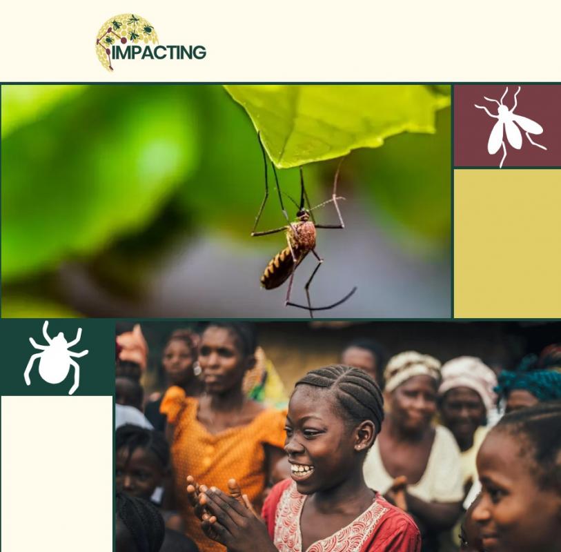 Visuel du site internet du projet impacting