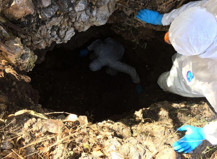 Descente dans une grotte pour effectuer des prélèvements d’échantillons d’urine et de fèces de chauves-souris © M. Bourgarel, Cirad Projet Pacman