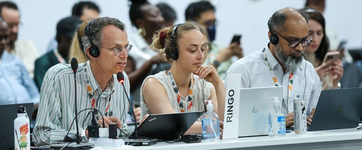 Emma Jagu Schippers CIRAD RINGO COP30