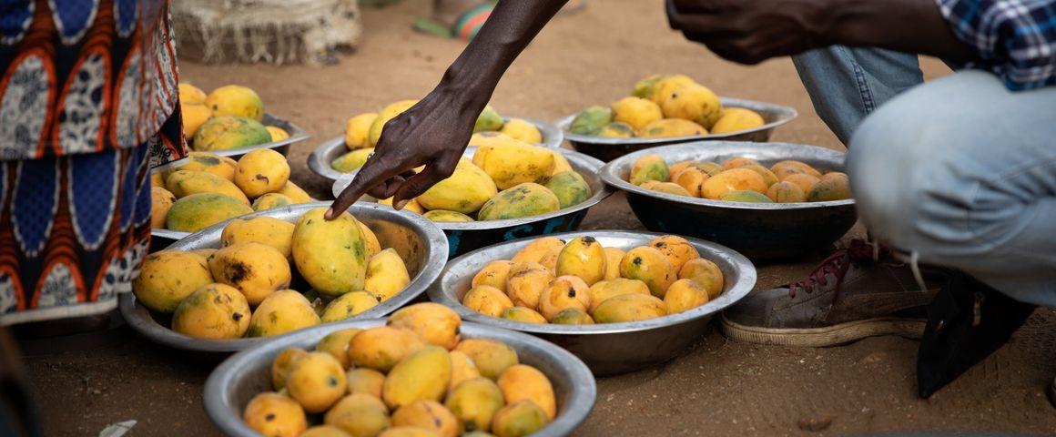 © R. Belmin, Cirad
