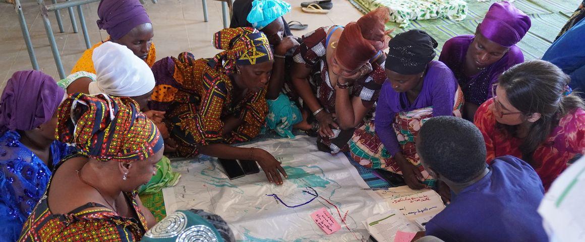 Cartographie des mobilités pastorales au Sénégal. © J-D. Cesaro, CIRAD