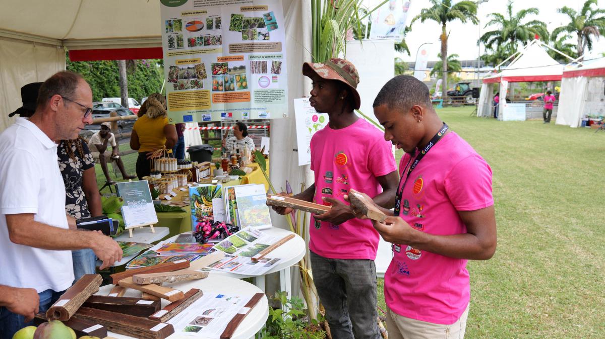 Ferme à la ville 2025