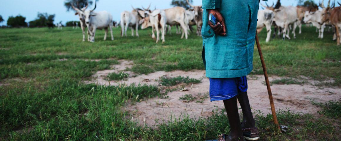 téléphonie mobile milieu agricole Afrique de l'Ouest