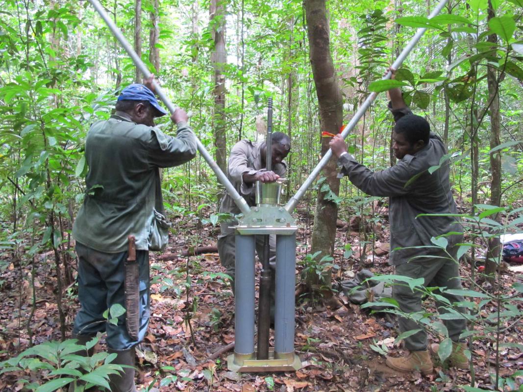 En Guyane, sur le dispositif forestier du Cirad à Paracou, un prélèvement de sol est réalisé pour mesurer les stocks de carbone du sol. © V. Blanfort, Cirad