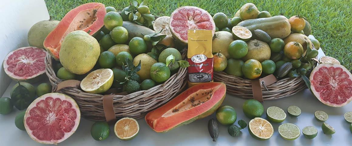 Diversité fruitière de Guadeloupe