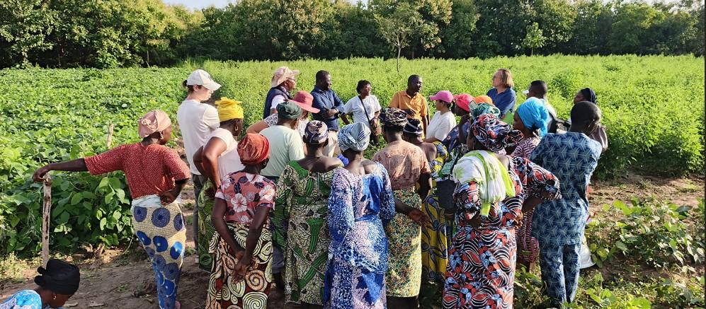 Equipe projet, membres du COPIL et productrices membres de l'ANaF-Bénin à Tchaourou, Bénin - septembre 2025