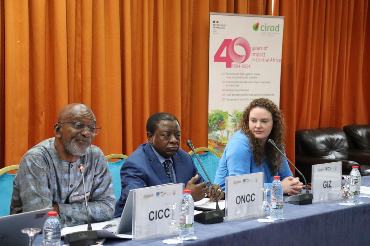 Présidium de l'atelier. © S. Koutchou