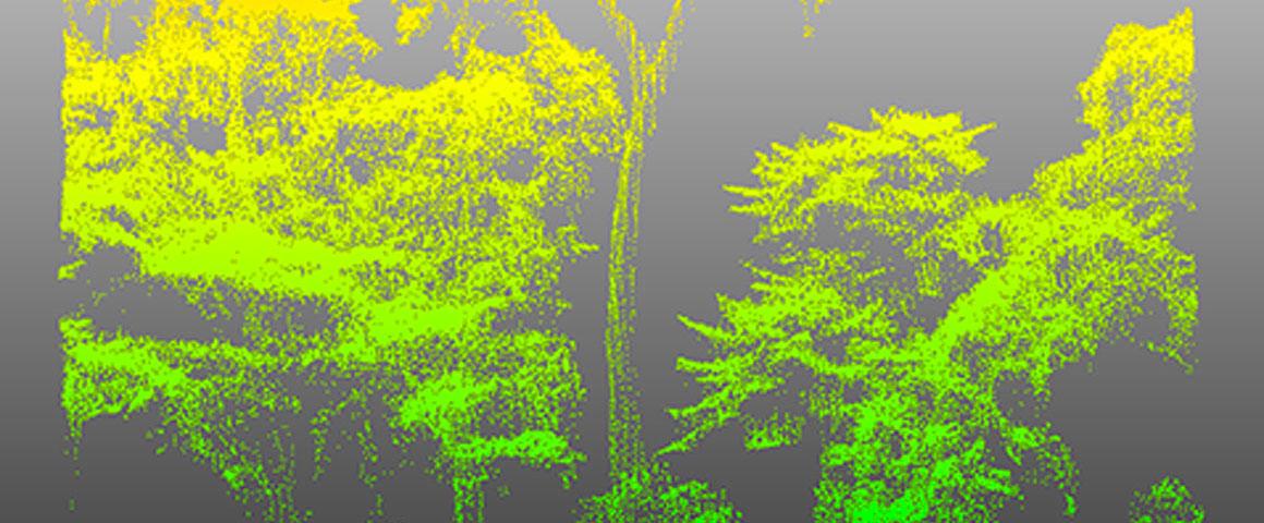 Illustration d'un scan LiDAR par drone en forêt tropicale au Cameroun (scanner Yellowscan VX20 acquis sur fonds IRD et Cirad).  © Nicolas Barbier