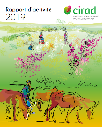 Rapport d'activité 2019 du Cirad