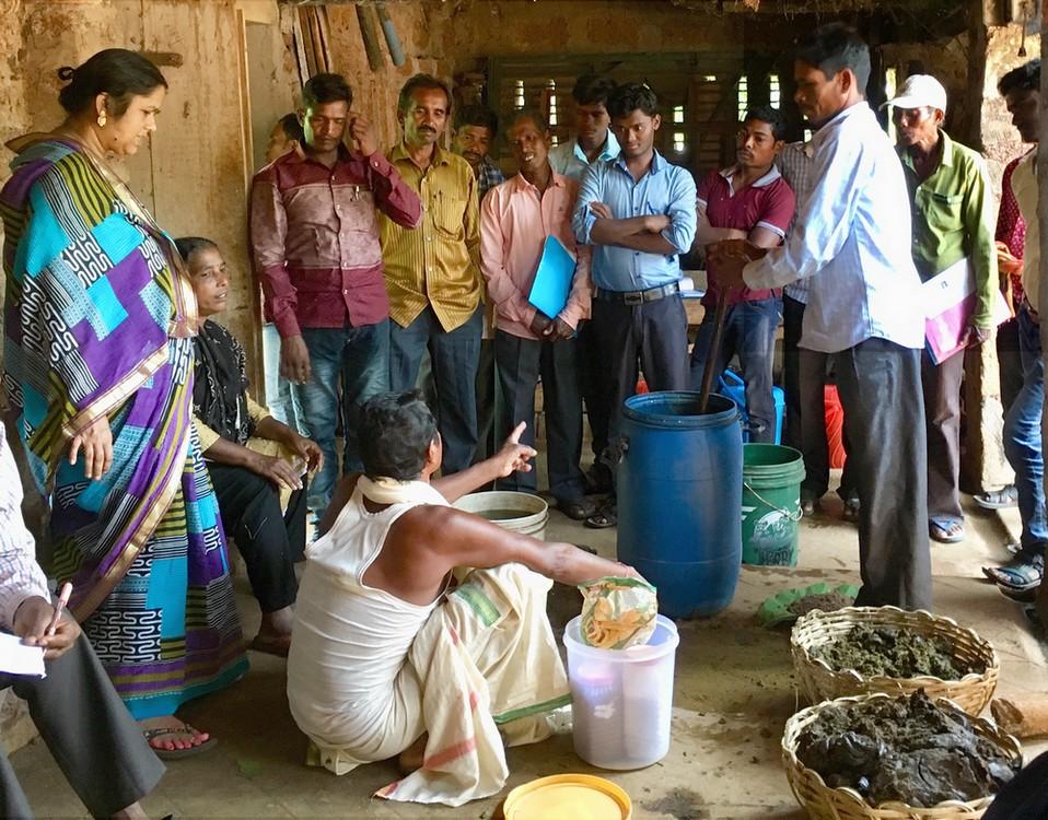 Collectif d’agriculteurs en formation à la ferme agroécologique de Sabarmatee, en Inde © B. Dorin, Cirad