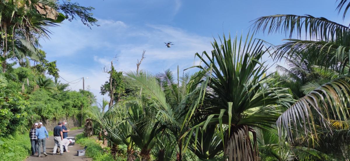 The first drone release of sterile male mosquitoes took place in Réunion in an isolated site in the municipality of Saint-Joseph on 4 May 2021. © Saint-Joseph town council