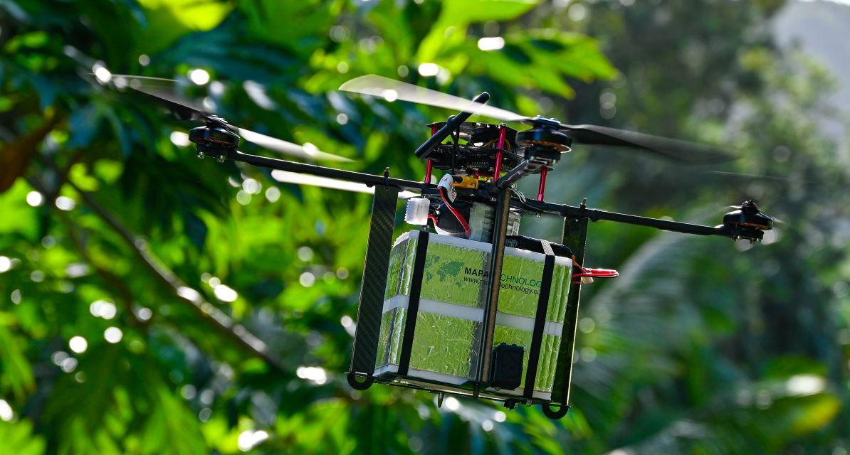 Release of sterile male Aedes aegypti mosquitoes by drone in St Joseph, Réunion © Pierre Marchal