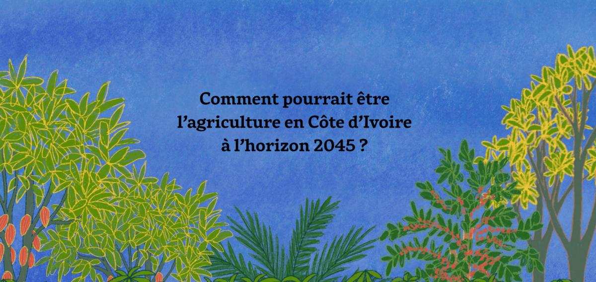 Illustration from the animated video based on the work of the foresight workshop "The Futures of Agriculture in Côte d'Ivoire," Yamoussoukro, June 2024. © Terri4Sol Project, CIRAD