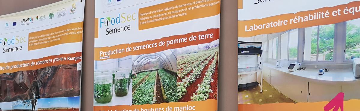 Annonce Food-Sec Semence