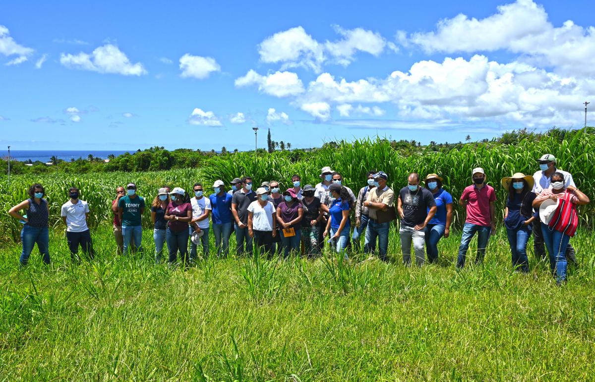 Participants à la session du 2 mars 2021
