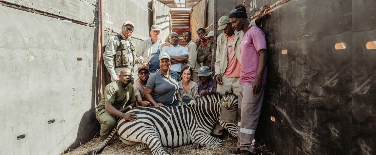 Mucheni Community Conservancy in Zimbabwe © M.Katsi, Cirad