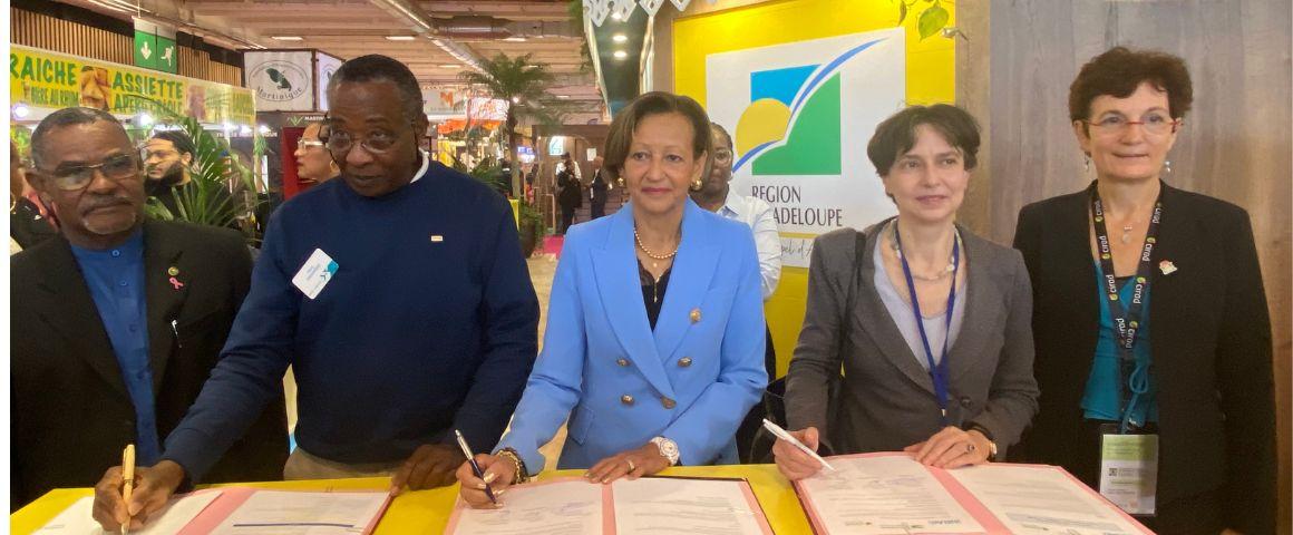 Guadeloupe : un partenariat stratégique