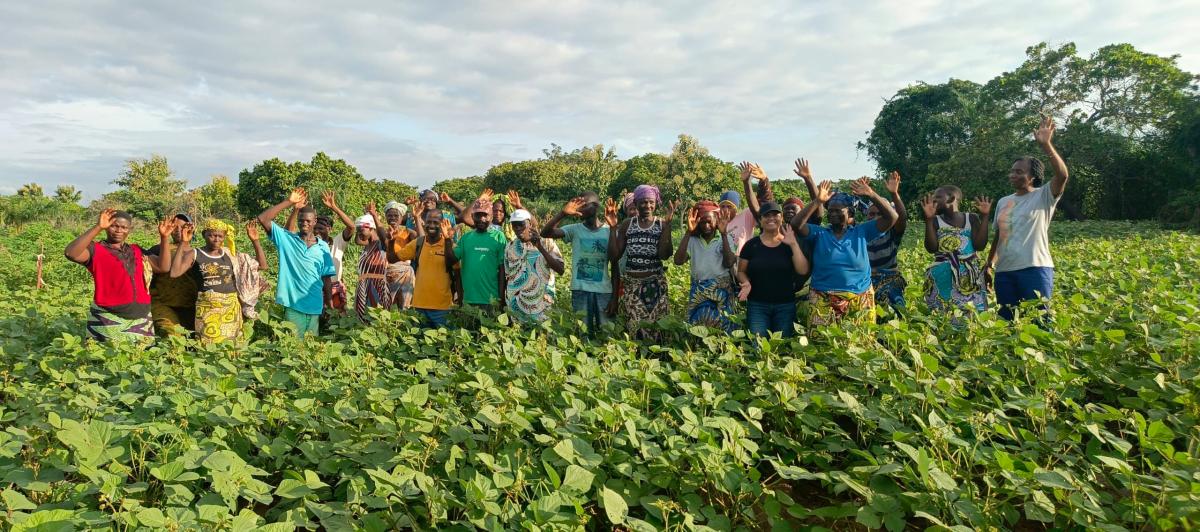 Un groupe d’agriculteurs et d’agricultrices pose dans un champ de légumineuses au Bénin avec Lalaina Bakotiana.R. © Cathia Guezodje, projet Fiselae