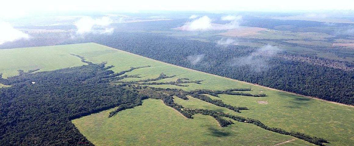 Pour une organisation efficiente des paysages, les surfaces non favorables à l’agriculture sont abandonnées et le couvert forestier se restaure progressivement. Des corridors forestiers peuvent ainsi se reconnecter avec la matrice forestière © R. Poccard-Chapuis, Cirad
