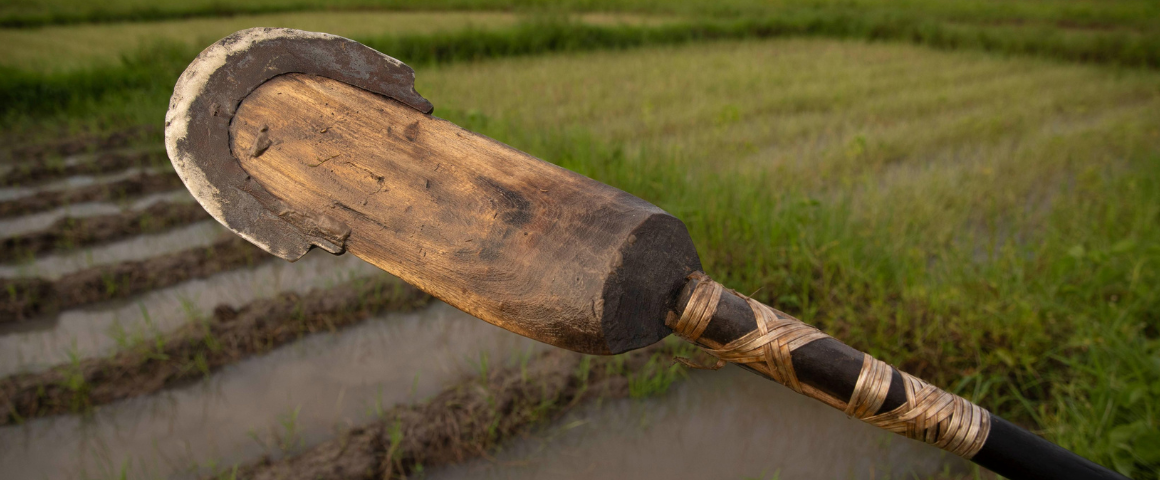 Le Kadjandou est un outil agraire typique de la Basse-Casamance et de la région des rivières du Sud, spécialement conçu pour façonner les casiers à riz.