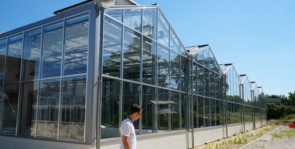 CIRAD's Abiophen greenhouses in Montpellier © V. Bonneaud, CIRAD