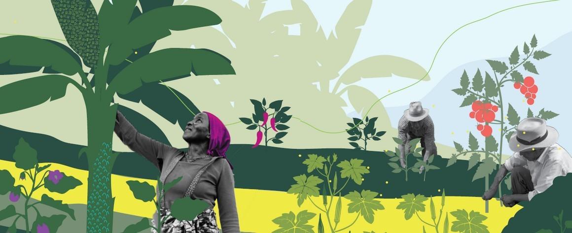 guide de l'UE sur l'agroécologie (détail du visuel)