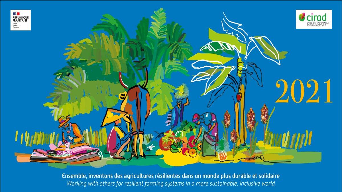 Happy New Year 2021 © CIRAD
