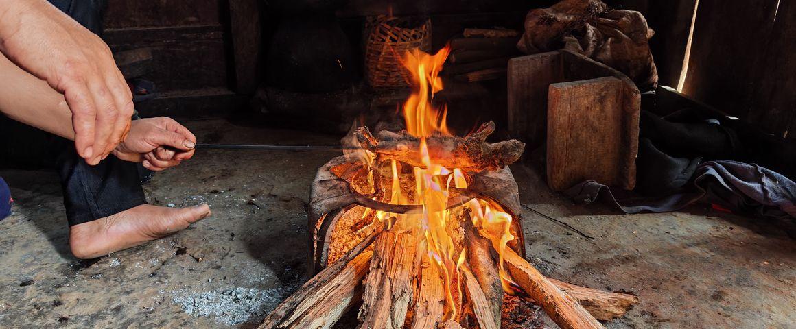 Viande sauvage Laos