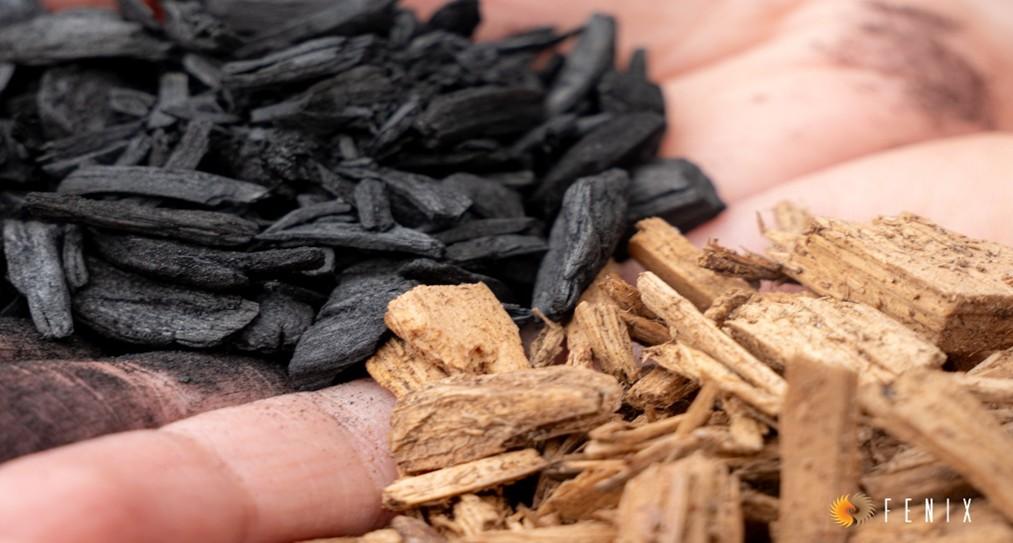 Biochar derived from green waste wood (F. Pinta, CIRAD)