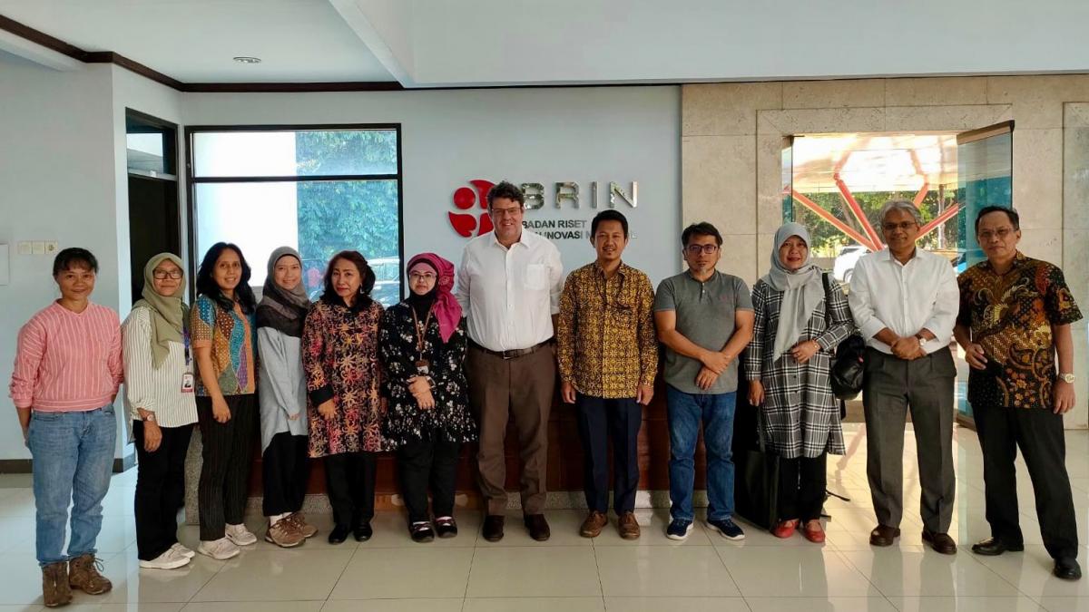 Le croisement de variétés de manioc résistantes à la mosaïque du manioc, depuis la banque de gènes du CIAT avec des variétés indonésiennes adaptées au climat local, est une stratégie clé, selon les experts. © T Tran