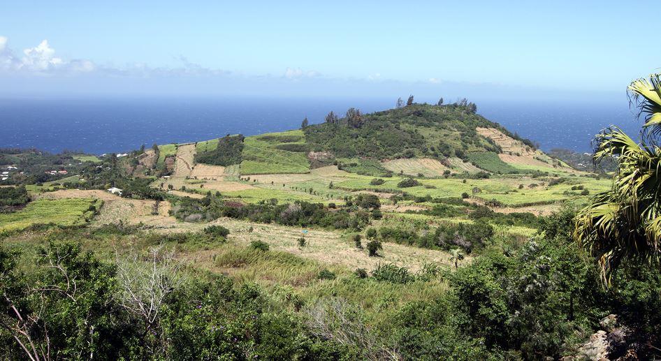 Paysage agricole Petite île - La Réunion © F. Le Bellec, Cirad