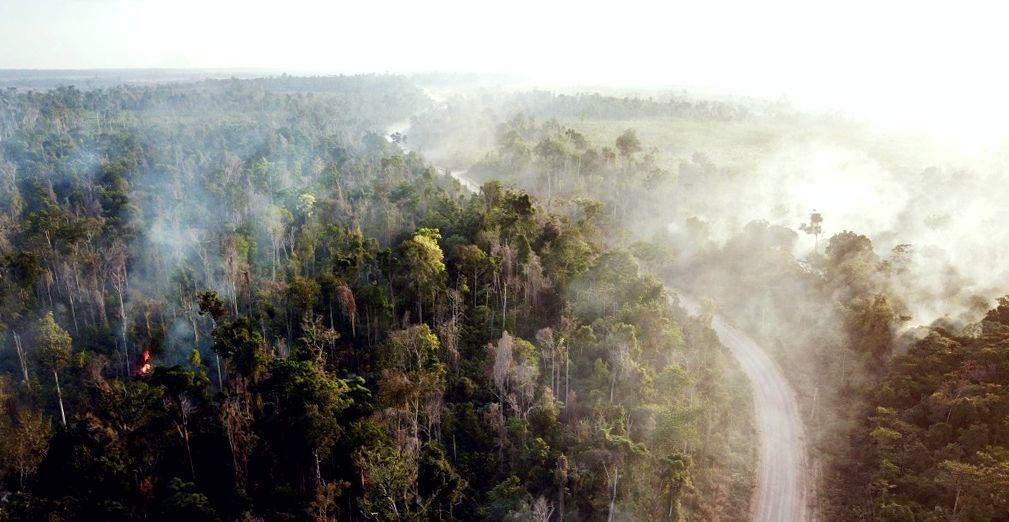 La déforestation et les atteintes à la biodiversité sont sources de contacts entre l'humain et l'animal, et de nouvelles émergences de maladies. © C. Bourgoin, Cirad