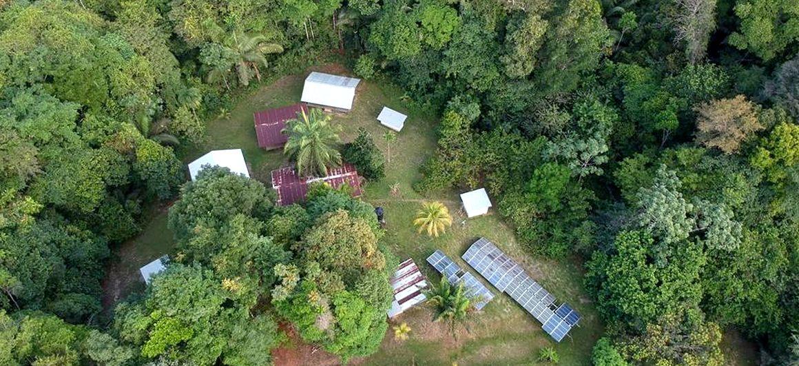 Vue aérienne de la station du Cirad à Paracou, en Guyane française. Sur ce site, plus de 70000 arbres sont mesurés régulièrement depuis le début des années 1980, fournissant un précieux jeu de données pour comprendre les changements opérant dans les forêts tropicales sous l’effet des pressions anthropiques. © A. Dourdain, Cirad