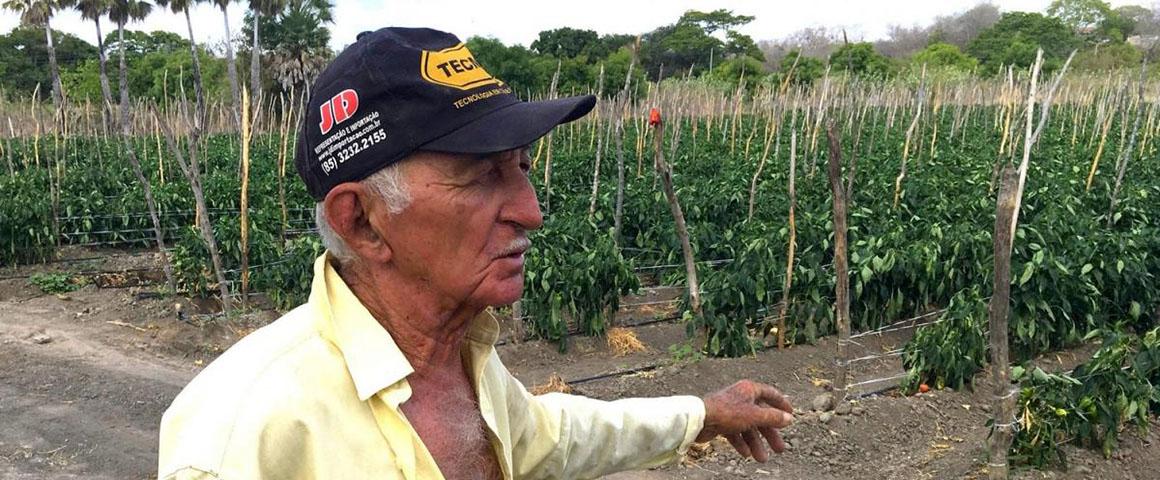 A farmer in Ceará, Brazil, shows his crops grown with drip irrigation © J. Burte, CIRAD