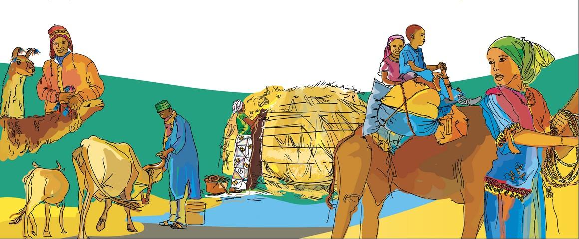 Visuel voeux Cirad 2026