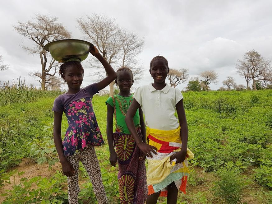 Jeunes filles au champ, Sénégal. La sécurité alimentaire et nutritionnelle et l’agriculture durable constituent des sujets prioritaires pour le partenariat Europe Afrique. © Cirad, C. Dangléant